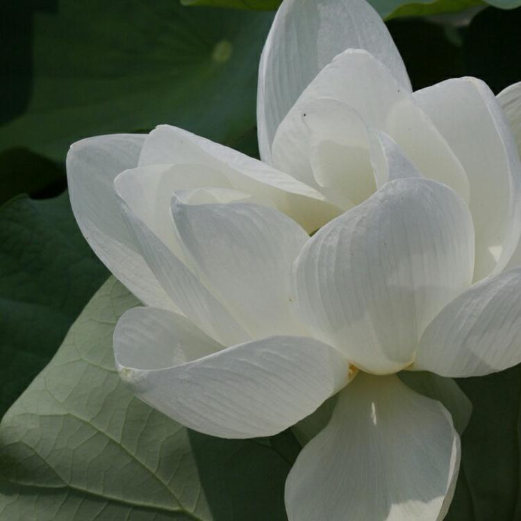 新井赤空（身份：逆刃刀制作者、赠与剑心） - 经典老电影高清在线观看 - 网页看视频